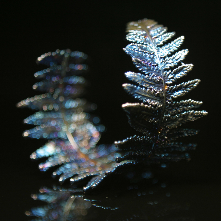 Браслет Fern Flower в серебре, Папоротник, фото 2