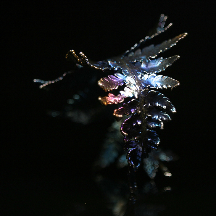 Браслет Fern Flower в серебре, Папоротник, фото 5