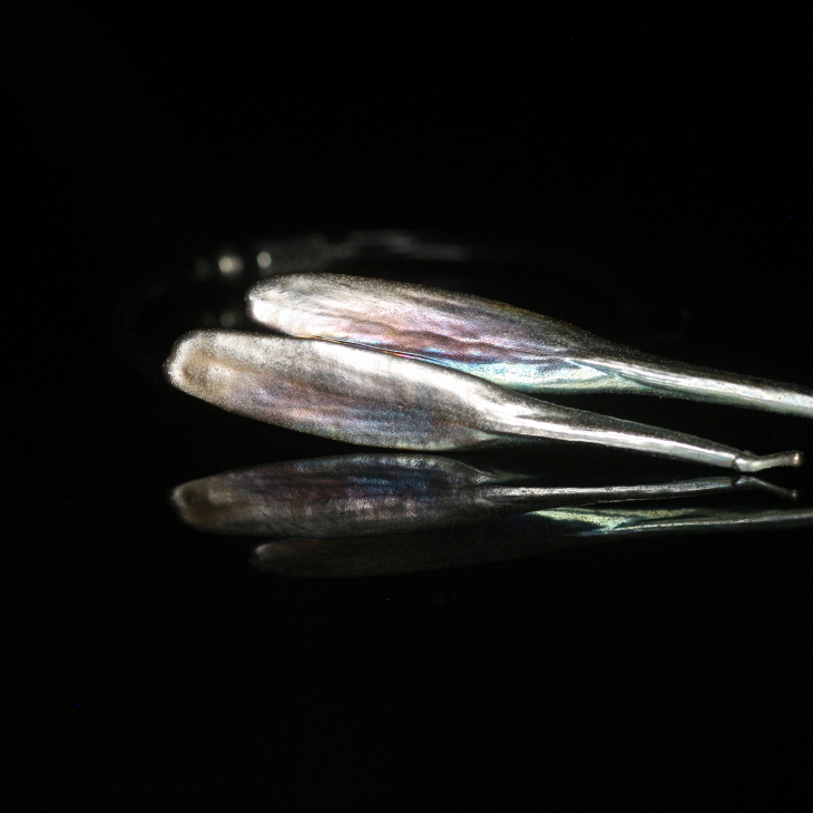 Ash pendant in silver, фото 3