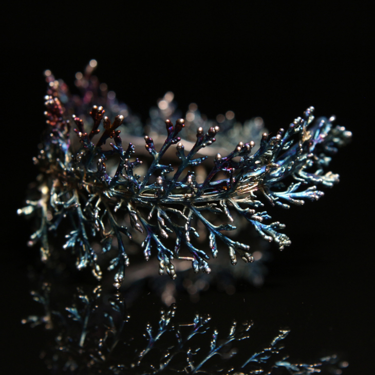 Браслет в серебре Flora, Тысячелистник, фото 5