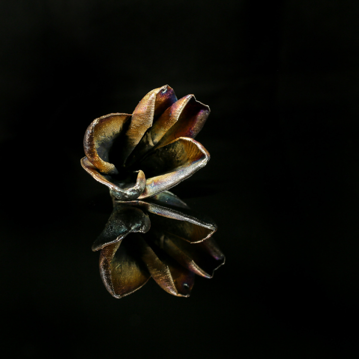 Кулон в серебре Fleur de Magique, Плюмерия, фото 3