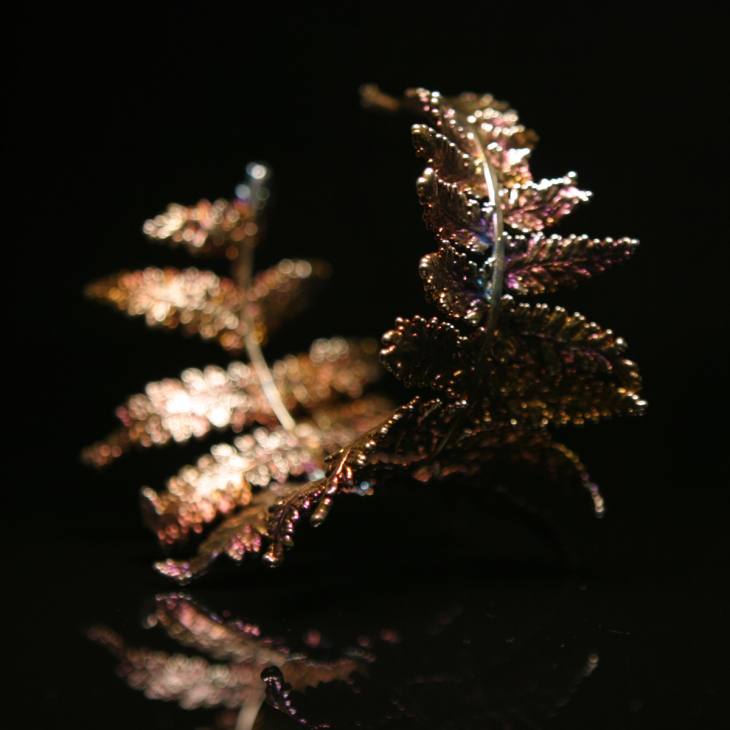 Браслет Fern Flower в серебре, Папоротник, фото 4