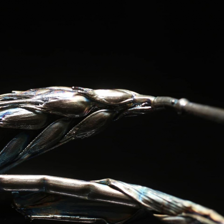 Браслет в серебре Flora, Дикие травы, фото 2