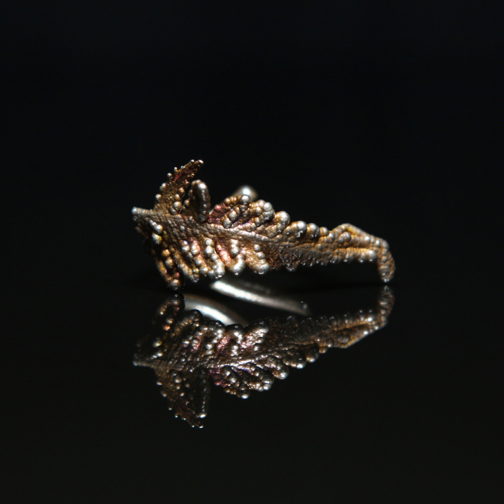 Кольцо Fern Flower в серебре, Папоротник, фото 1