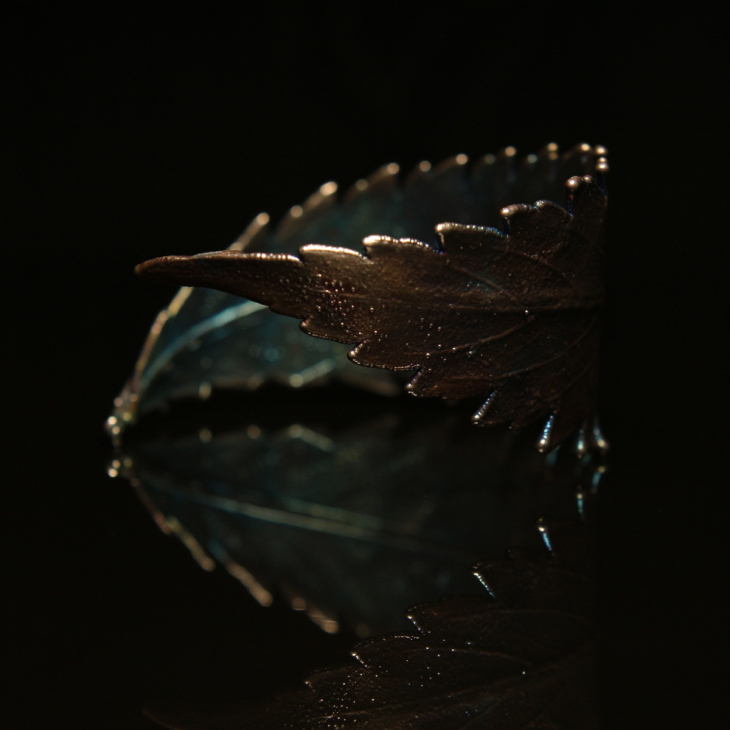 Браслет Flora в серебре, Каннабис , фото 2