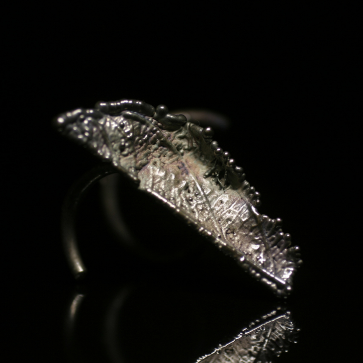 Кольцо в серебре Love Alchemy, Ясень, фото 1