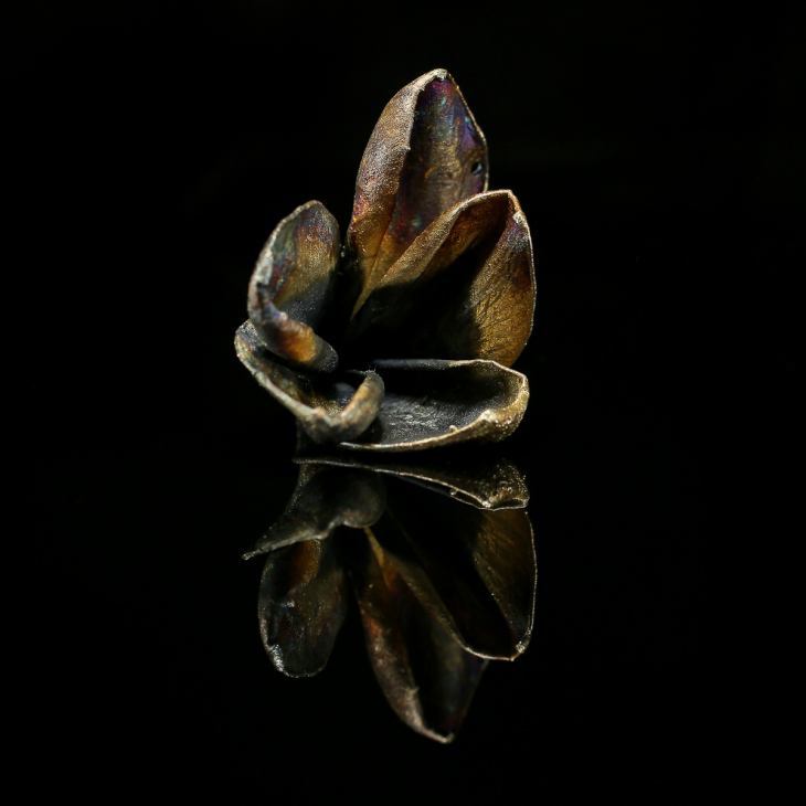 Кулон в серебре Fleur de Magique, Плюмерия, фото 2