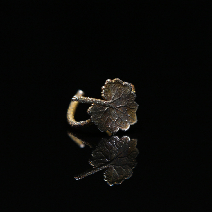 Кольцо в серебре Love Alchemy, Дикие Травы, фото 1