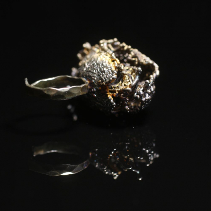 Кольцо в серебре Love Alchemy, Эхиноцистис, фото 3