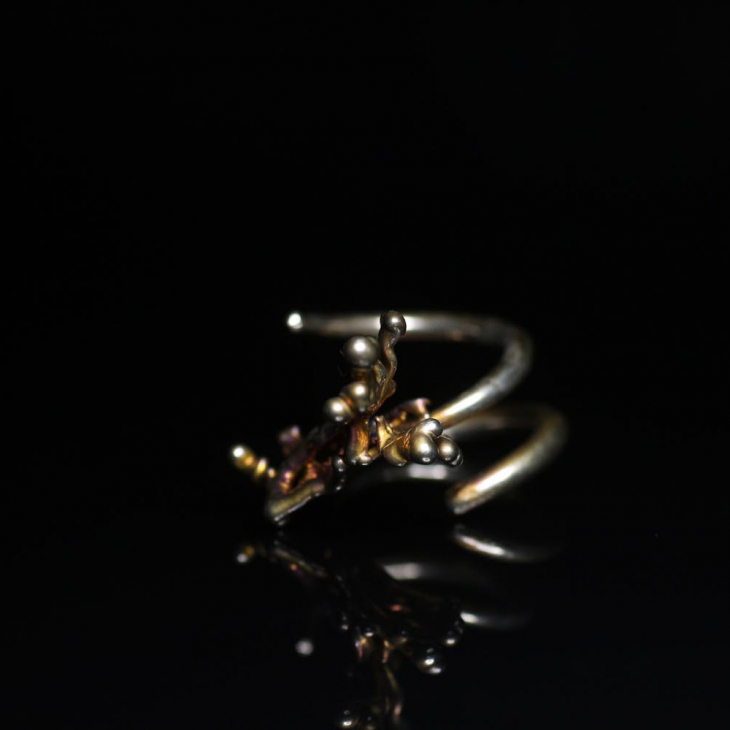 Ring in silver, Lichen, фото 1