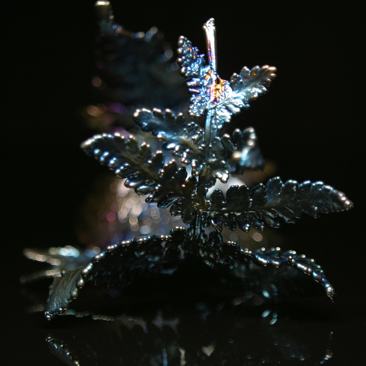 Браслет Fern Flower в серебре, Папоротник, фото 4