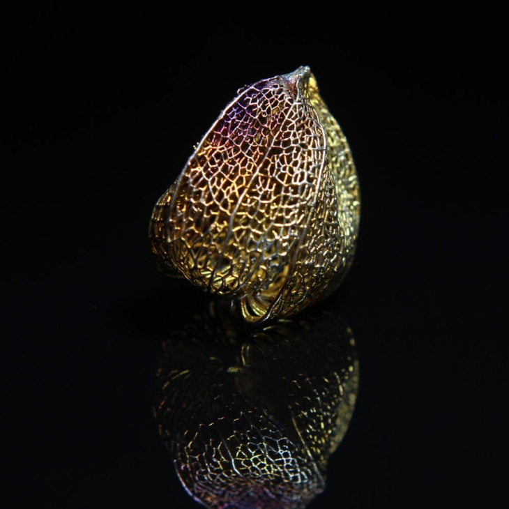 Кулон в серебре Love Alchemy, Физалис, фото 2