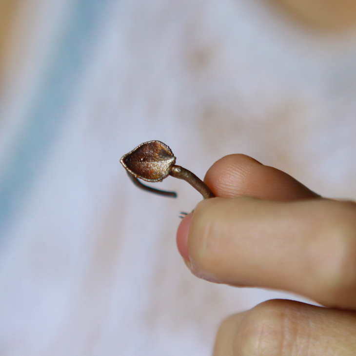 Ring in silver, Hydrangea , фото 3