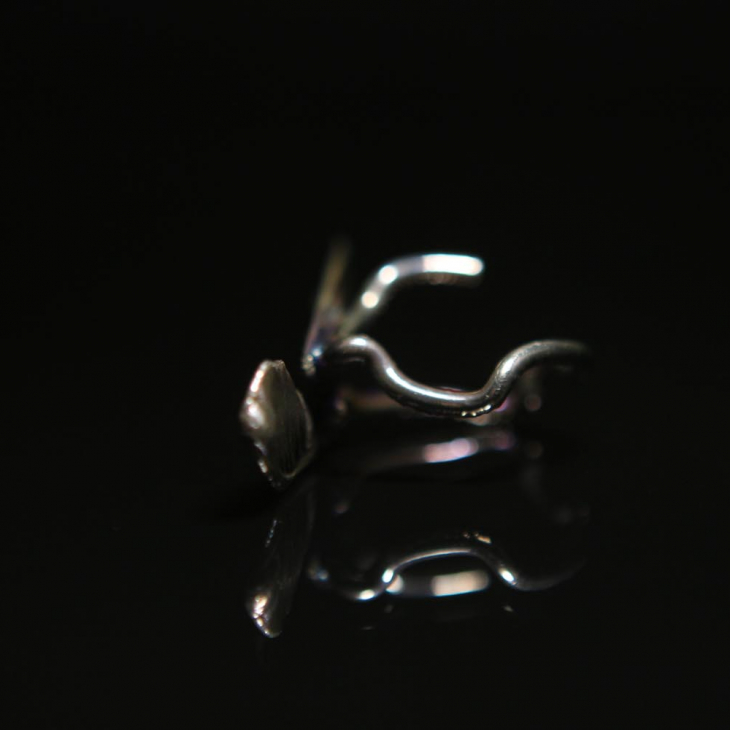 Кольцо в серебре Love Alchemy, Клен, фото 2