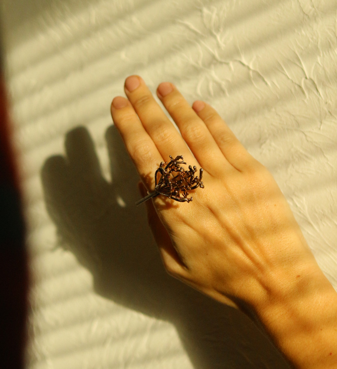 Fennel flower ring in colored silver, фото 1