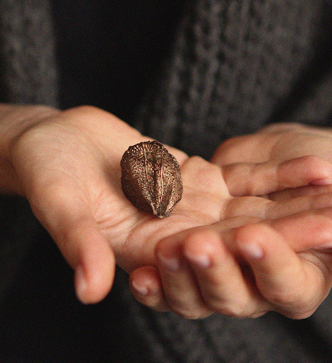 Кулон в серебре Love Alchemy, Физалис, фото 2