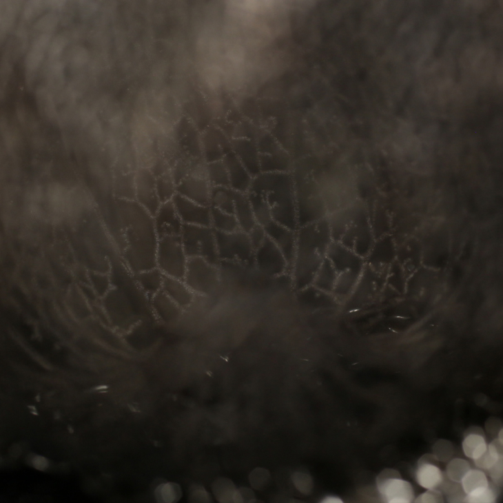 Кулон в серебре Love Alchemy, Физалис, фото 3