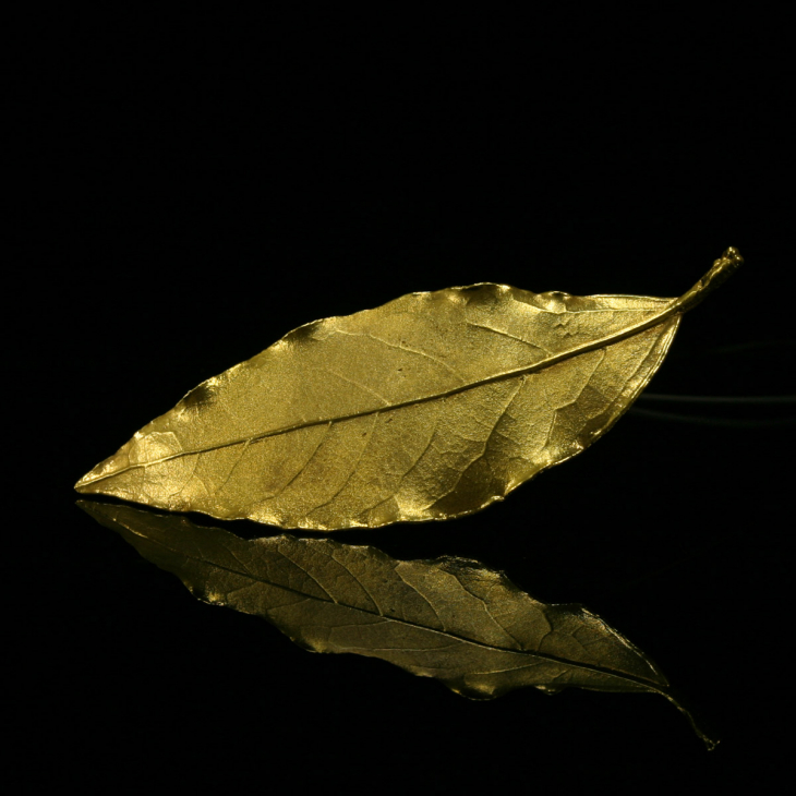 Кулон в золоте Love Alchemy, Лавр, фото 4