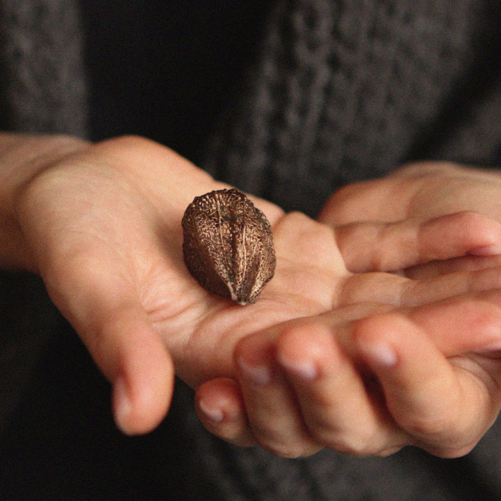 Кулон в серебре Love Alchemy, Физалис, фото 2