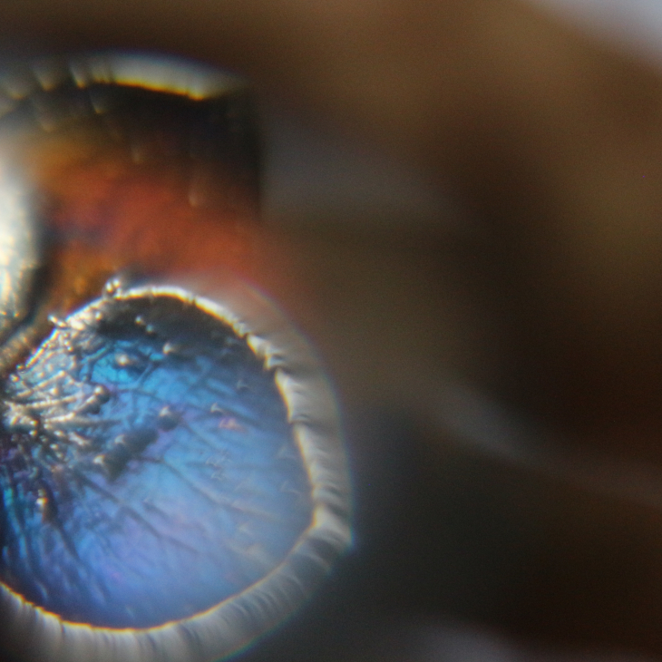 Ring in silver, Hydrangea , фото 2