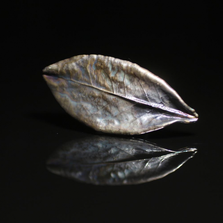 Кольцо в серебре Love Alchemy, Лавр, фото 2