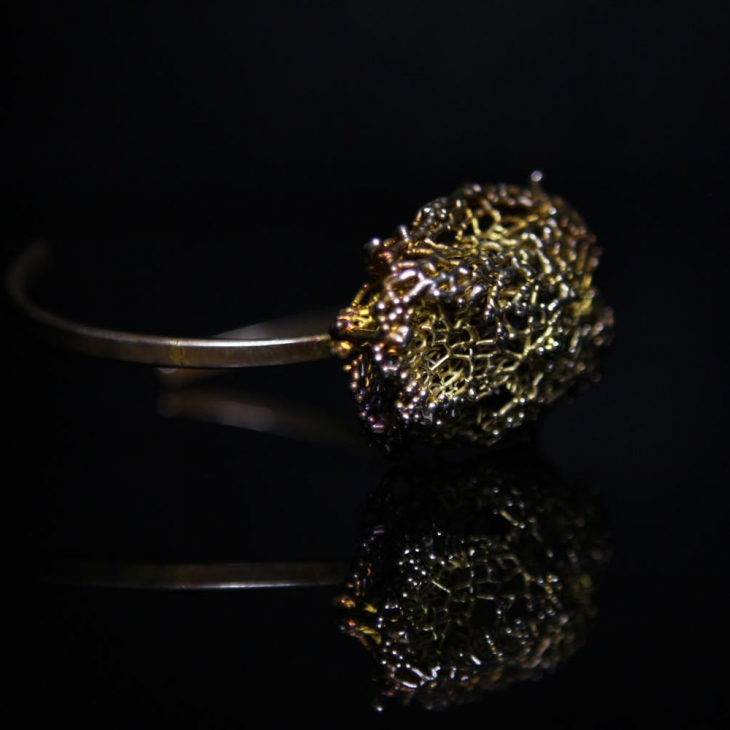 Браслет в серебре Love Alchemy, Бешенный Огурец, фото 3