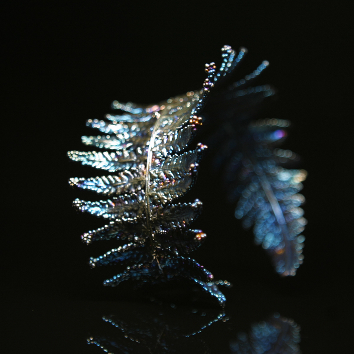 Браслет Fern Flower в серебре, Папоротник, фото 2