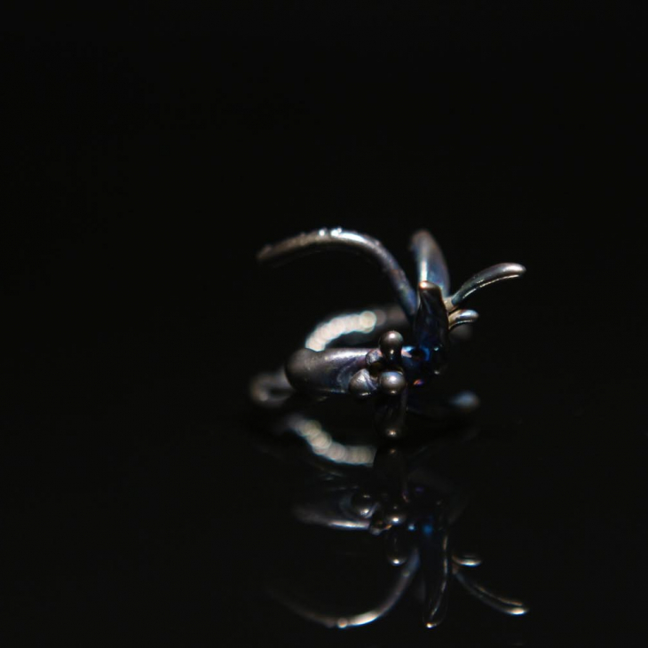 Кольцо в серебре Love Alchemy, Тис, фото 1