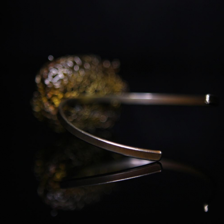 Браслет в серебре Love Alchemy, Бешенный Огурец, фото 2