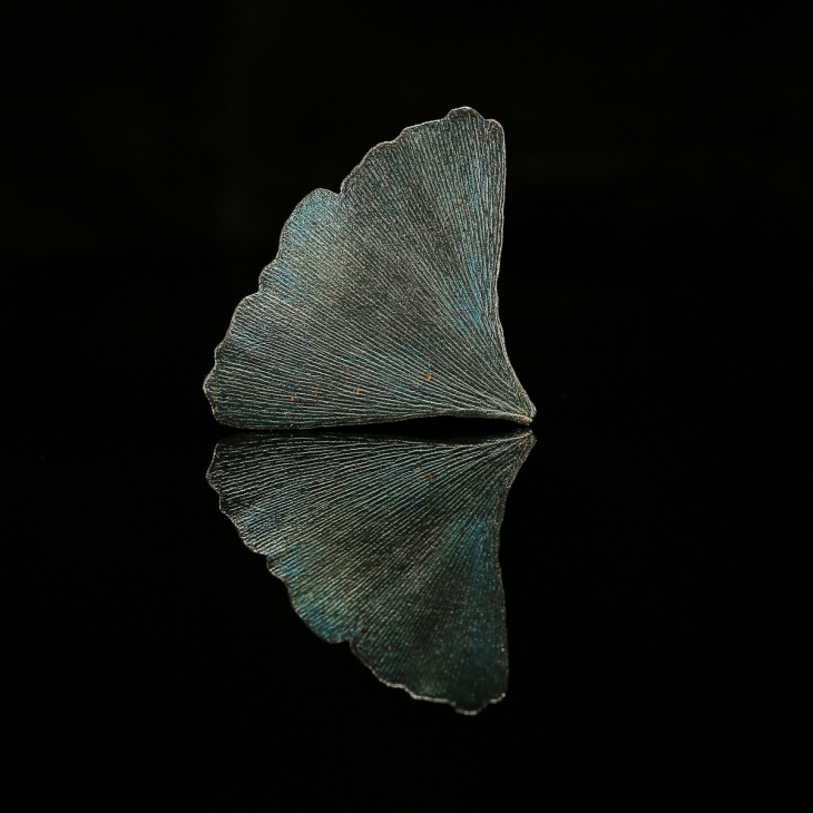 Кулон в серебре Love Alchemy, Гинкго, фото 2