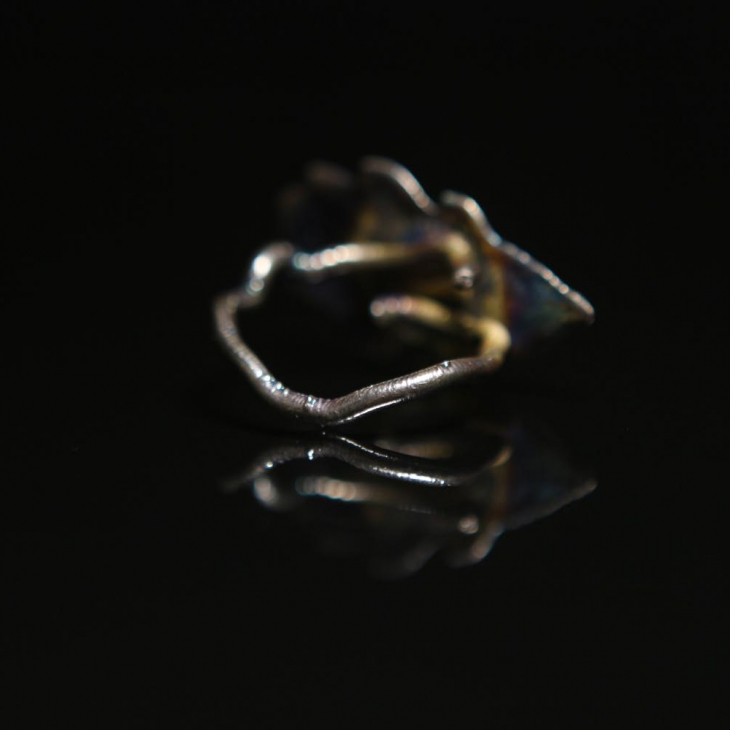 Кольцо в серебре Love Alchemy, Дуб, фото 2