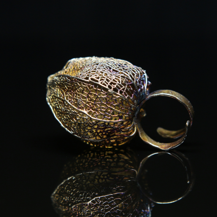 Кольцо в серебре Love Alchemy, Физалис, фото 3