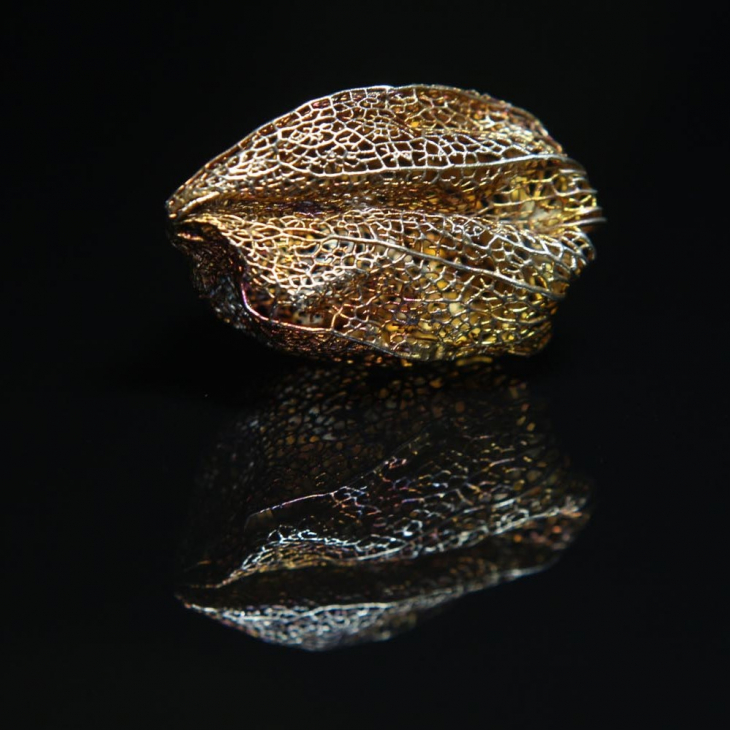 Кулон в серебре Love Alchemy, Физалис, фото 2