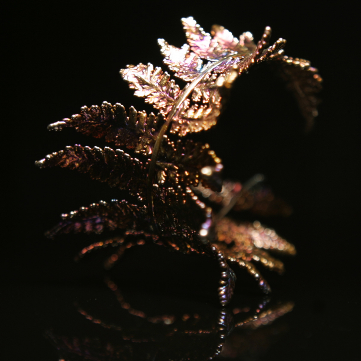 Браслет Fern Flower в серебре, Папоротник, фото 3