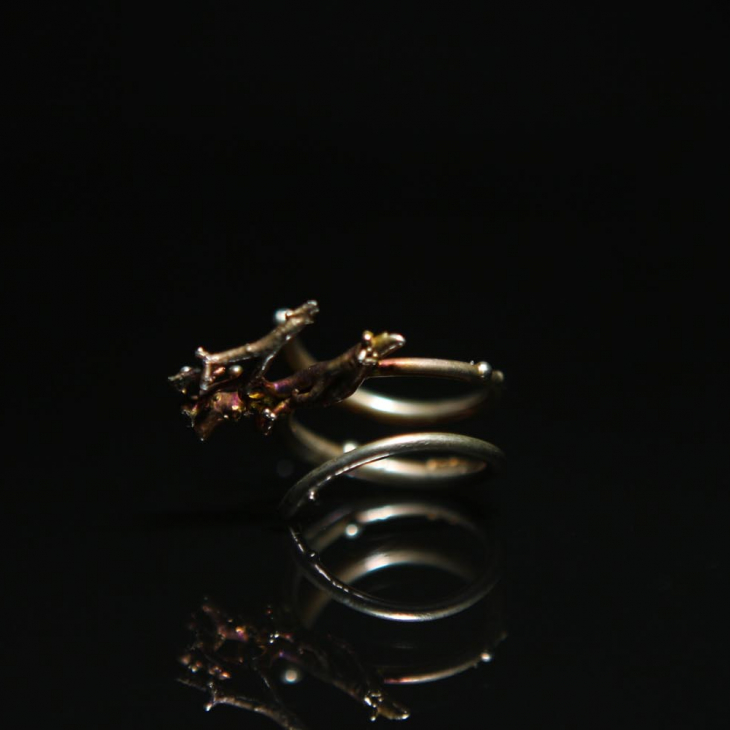 Кольцо в серебре Mystique, Лишайник, фото 1
