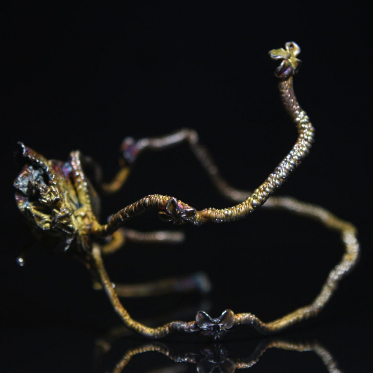 Браслет в серебре Fleur de Magique, Роза, фото 6