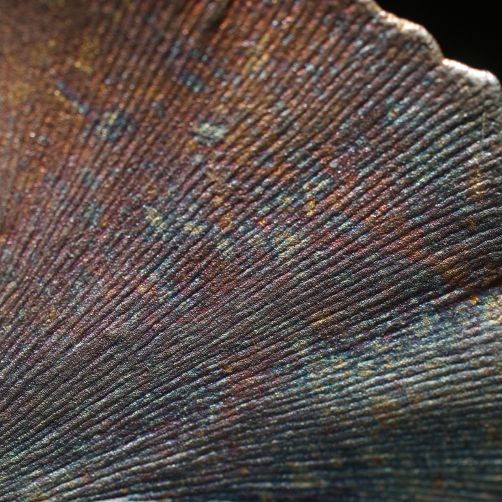 Кулон в серебре Love Alchemy, Гинкго, фото 2