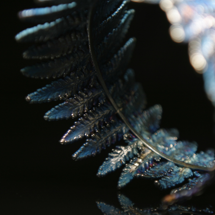 Браслет Fern Flower в серебре, Папоротник, фото 2