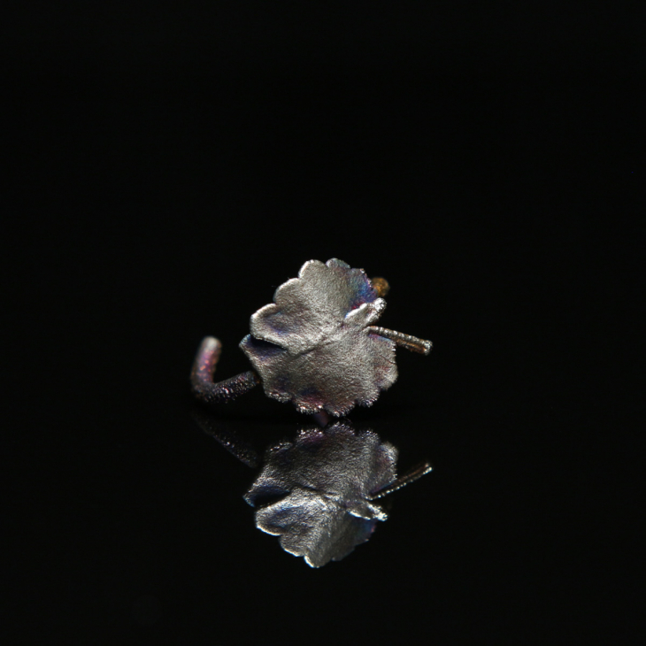 Кольцо в серебре Love Alchemy, Дикие Травы, фото 2