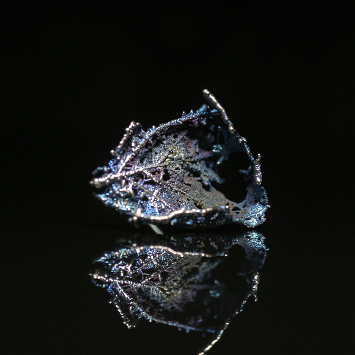 Кольцо в серебре Love Alchemy, Ясень, фото 1