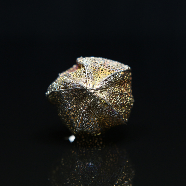 Кольцо в серебре Love Alchemy, Физалис, фото 1