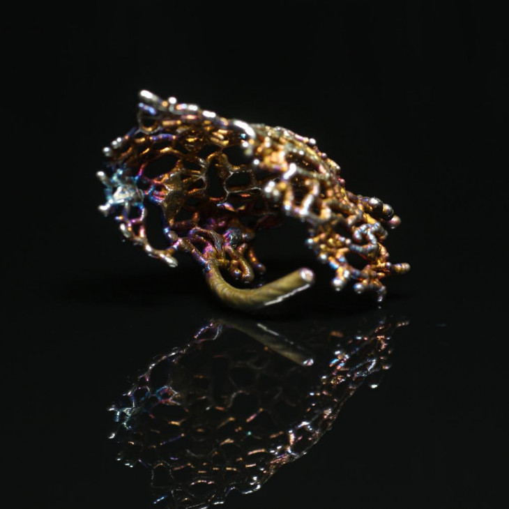 Кольцо в серебре Love Alchemy, Огурец, фото 2