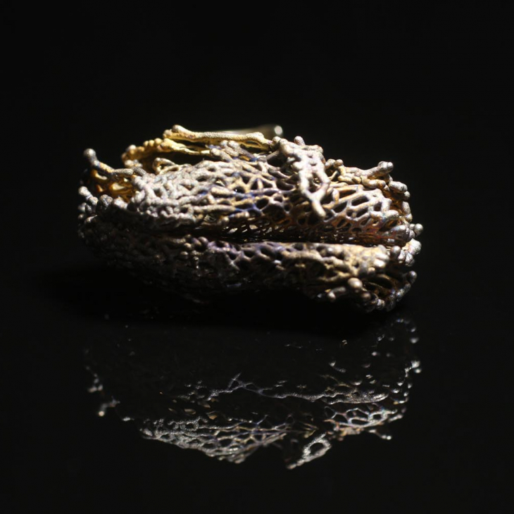 Кольцо в серебре Love Alchemy, Эхиноцистис, фото 2