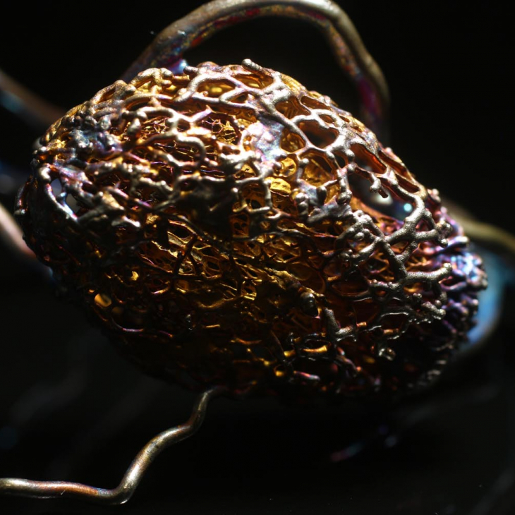 Браслет в серебре Love Alchemy, Эхиноцистис, фото 6