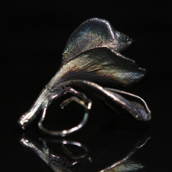 Кольцо в серебре Fleur de Magique, Плюмерия