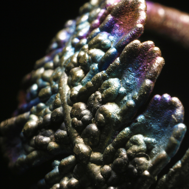 Кольцо в серебре Fern Flower, Папоротник, фото 2