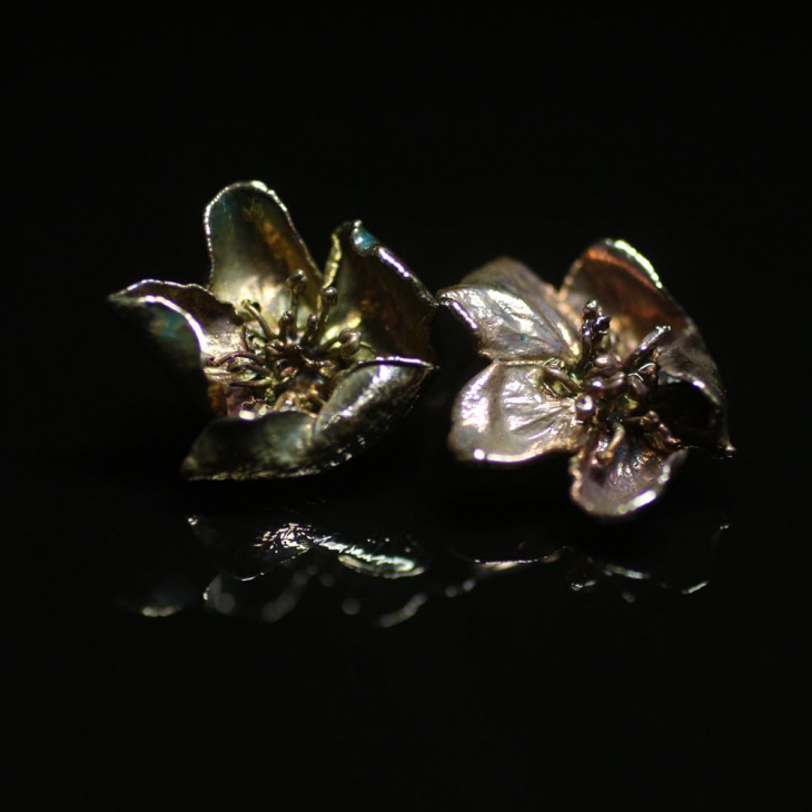 Серьги в серебре Fleur de Magique, Дикая груша, фото 1