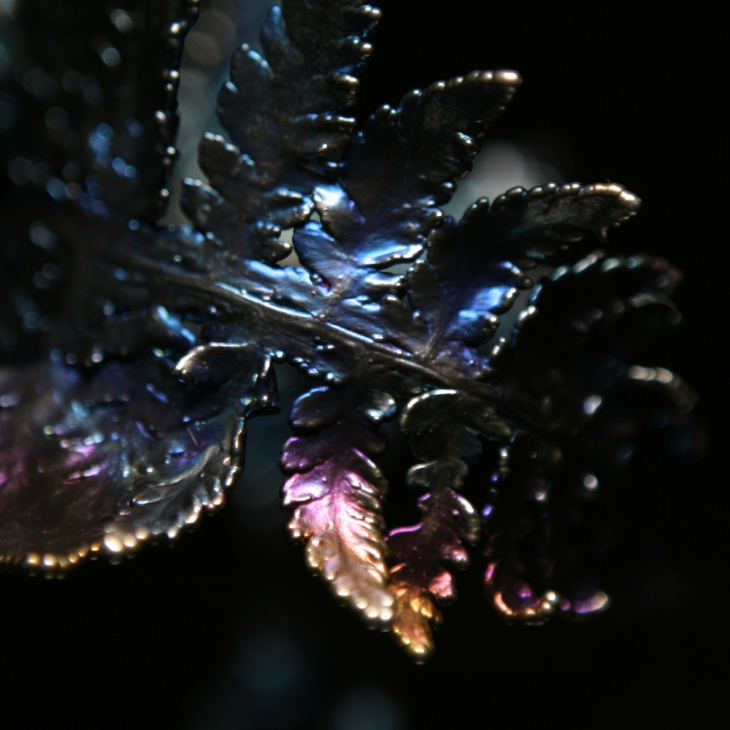 Браслет Fern Flower в серебре, Папоротник, фото 2