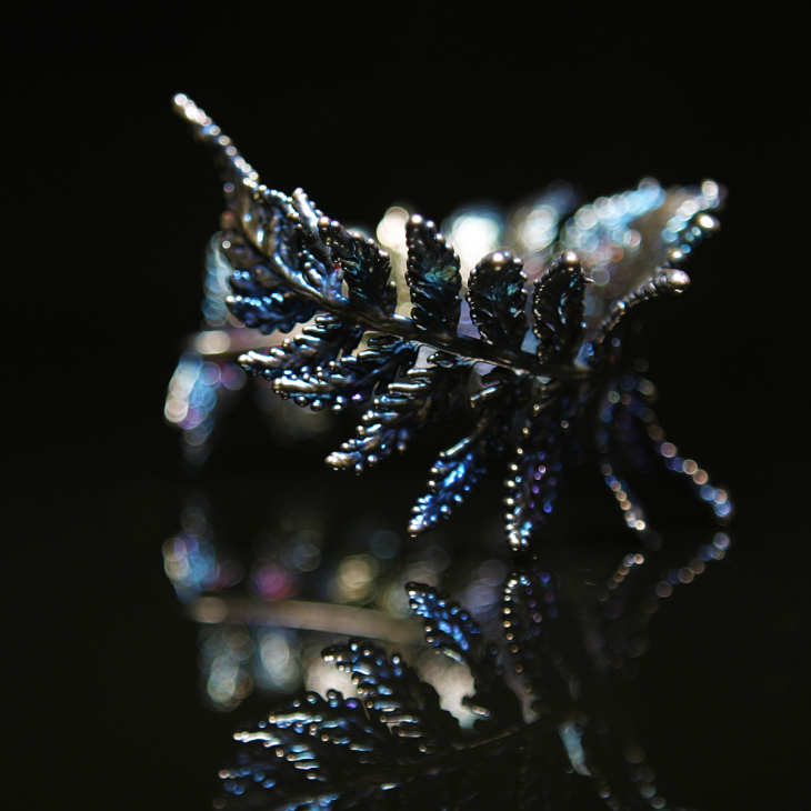 Браслет Fern Flower в серебре, Папоротник, фото 1