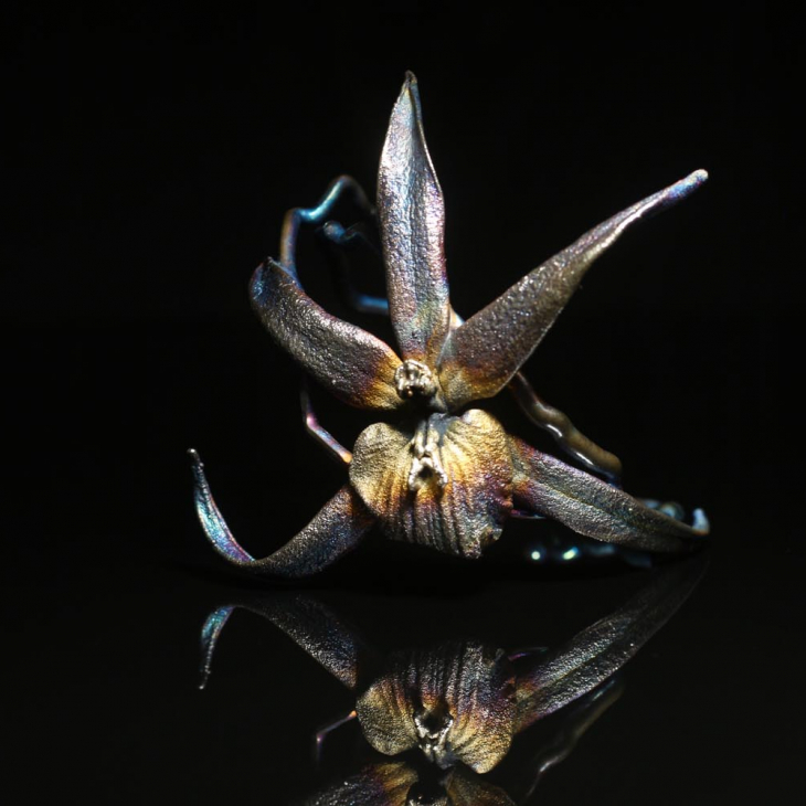 Браслет в серебре Fleur de Magique, Орхидея, фото 2